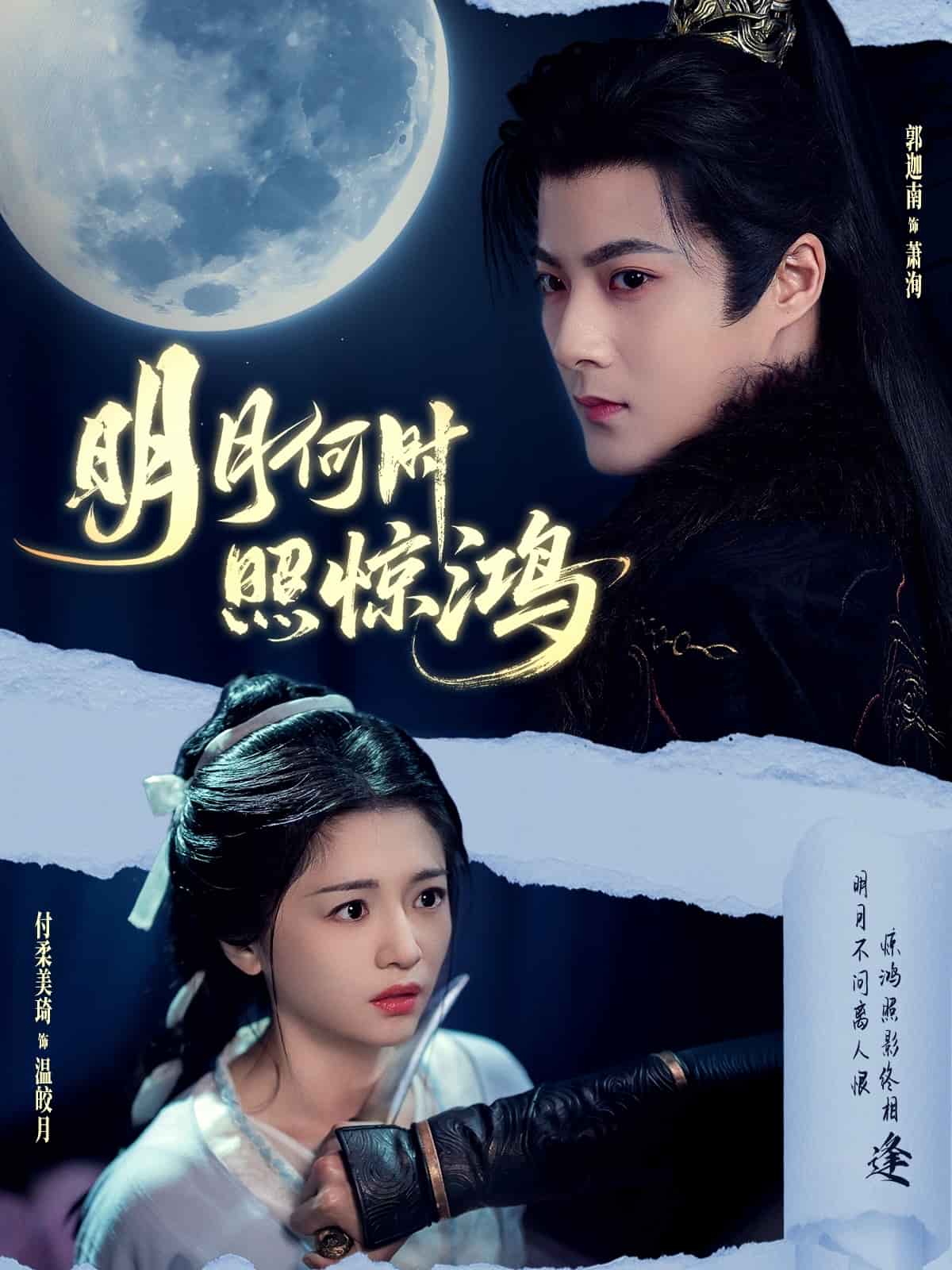 明月何時照驚鴻