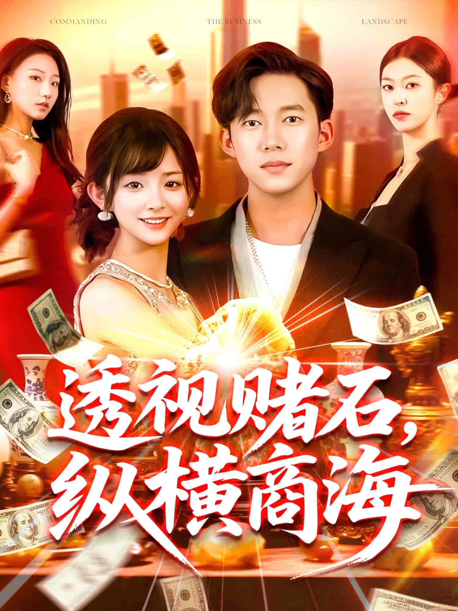 透視賭石，縱橫商海