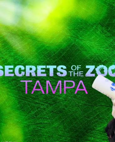 動物園秘辛：坦帕灣第四季