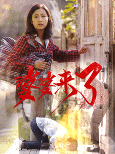 婆婆來了（短劇版）