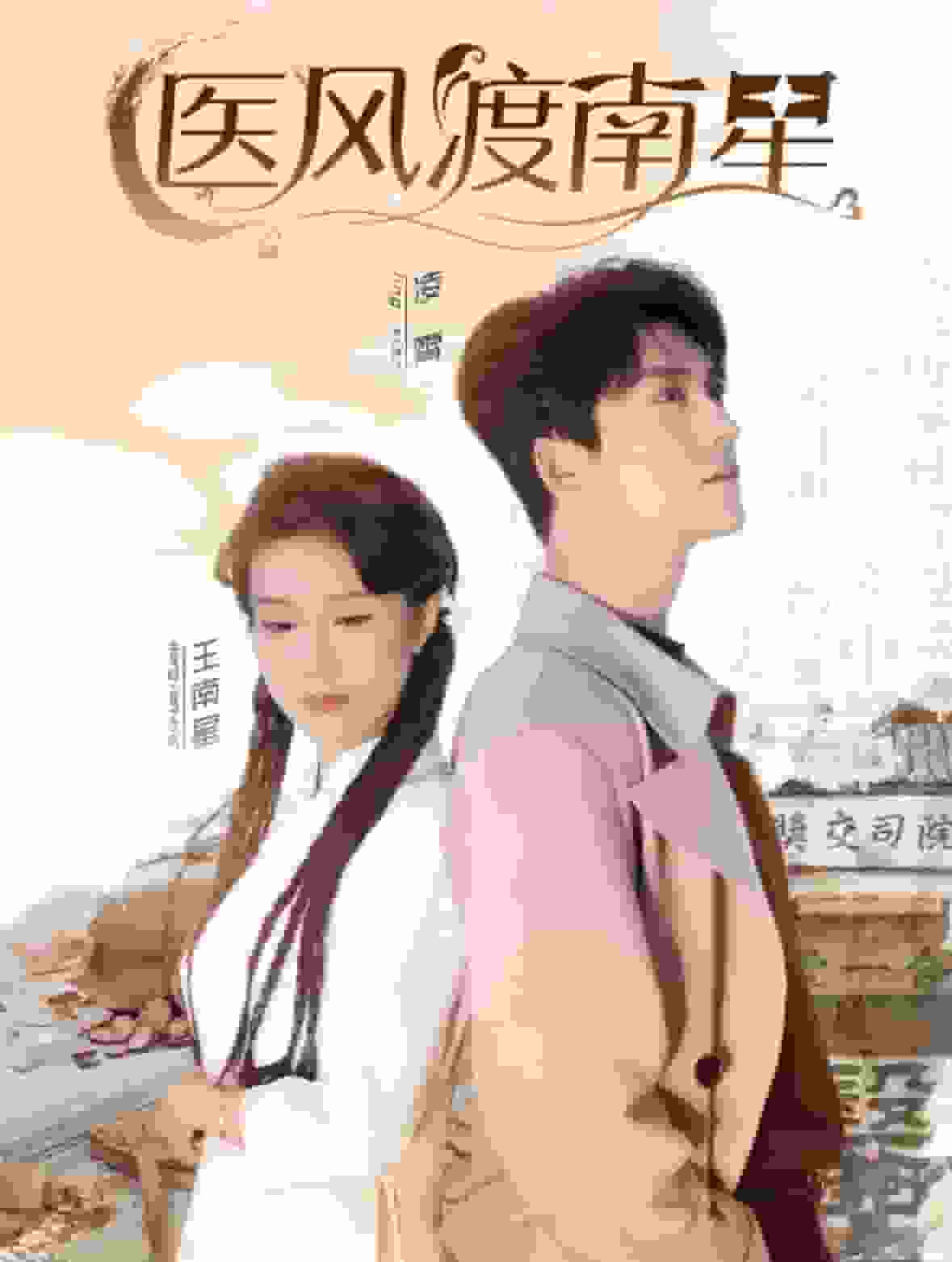 醫(yī)風渡南星