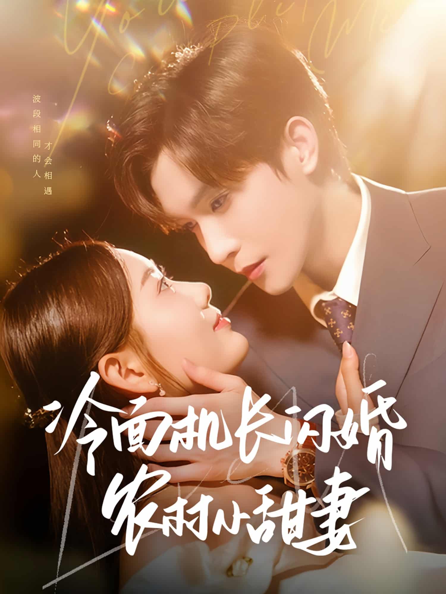 冷面機長閃婚農村小甜妻