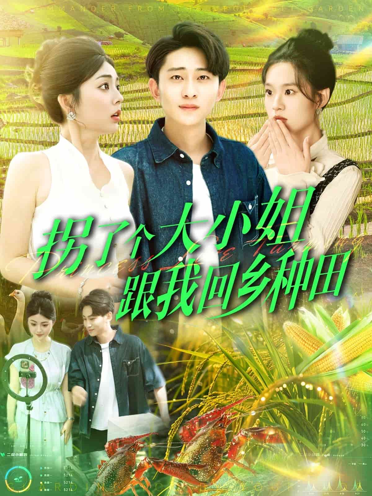 拐了個大小姐跟我回鄉(xiāng)種田