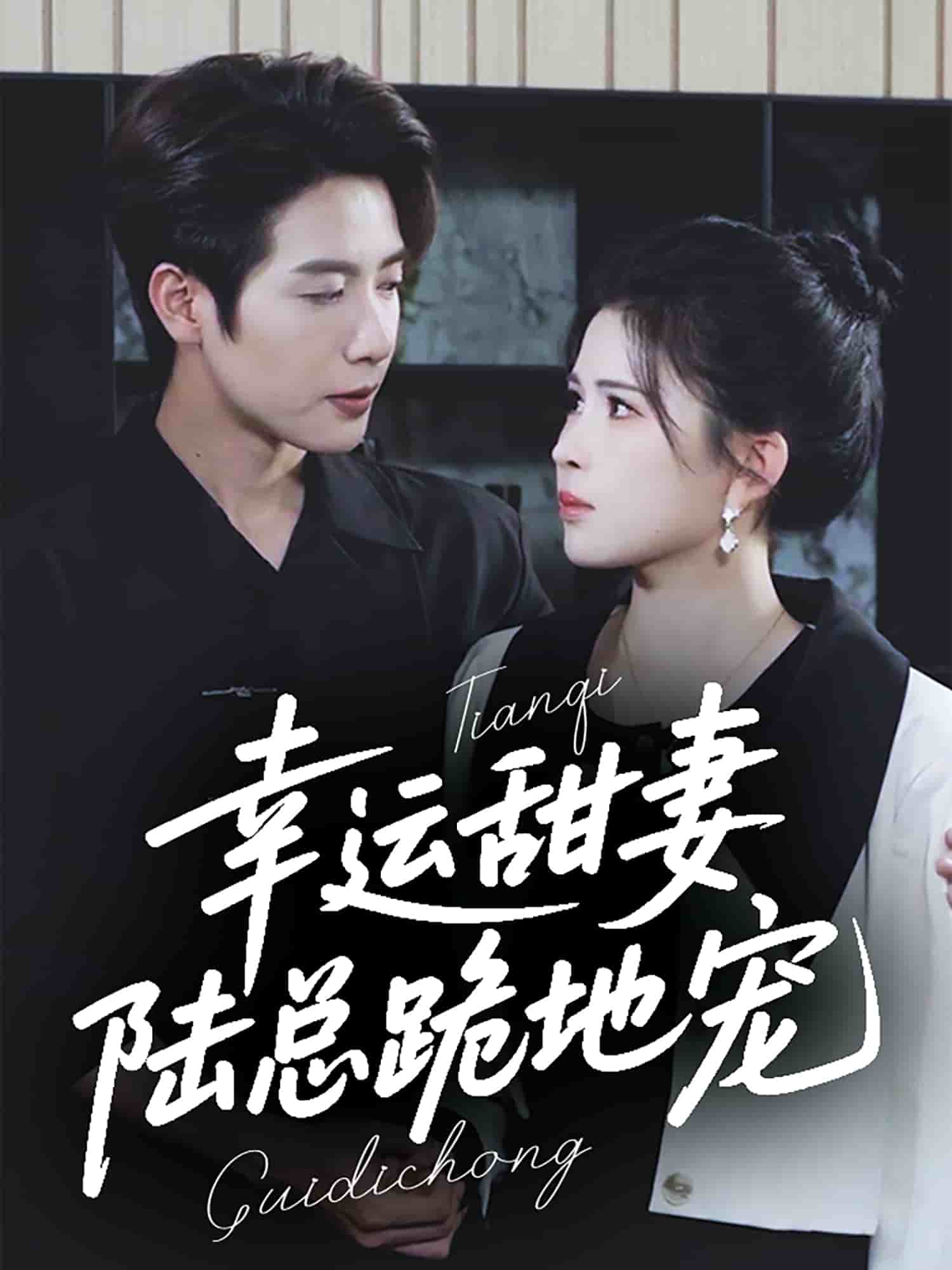 幸運甜妻，陸總跪地寵