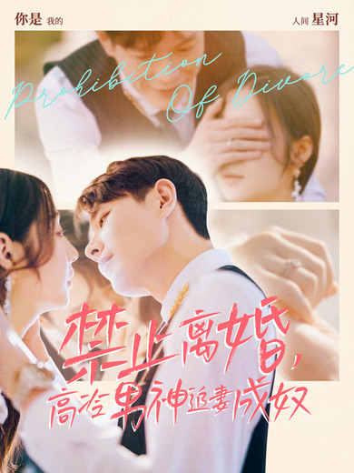 禁止離婚，高冷男神追妻成奴