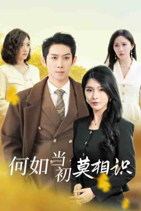 何如當初莫相識