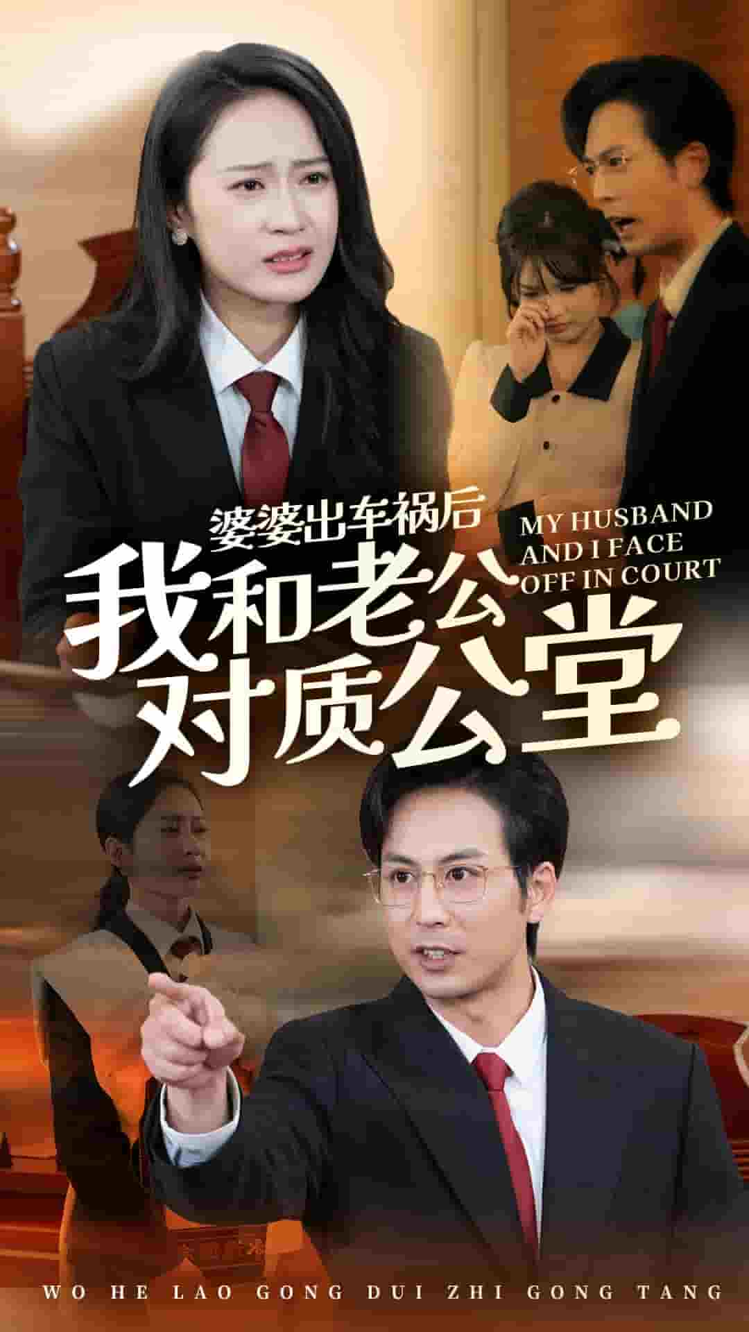 婆婆出車禍后我和老公對質公堂