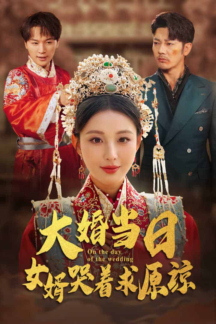 大婚當(dāng)日，女婿哭著求原諒