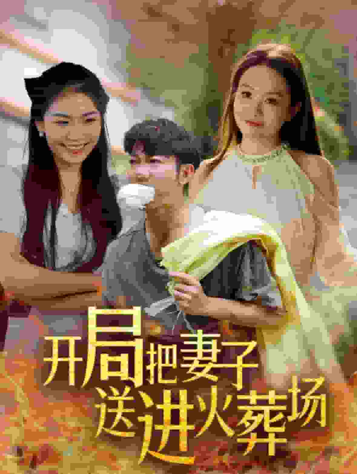 開局把妻子送進火葬場