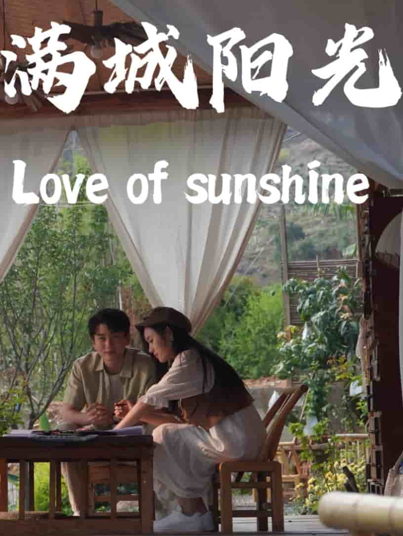 滿城陽光