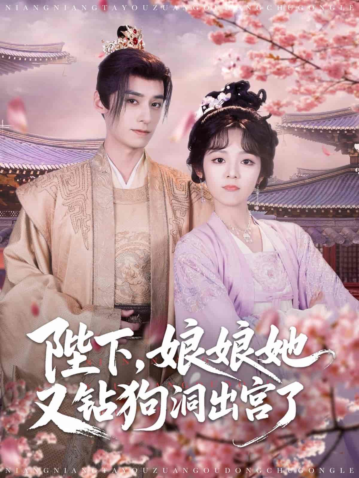 陛下娘娘她又鉆狗洞出宮了