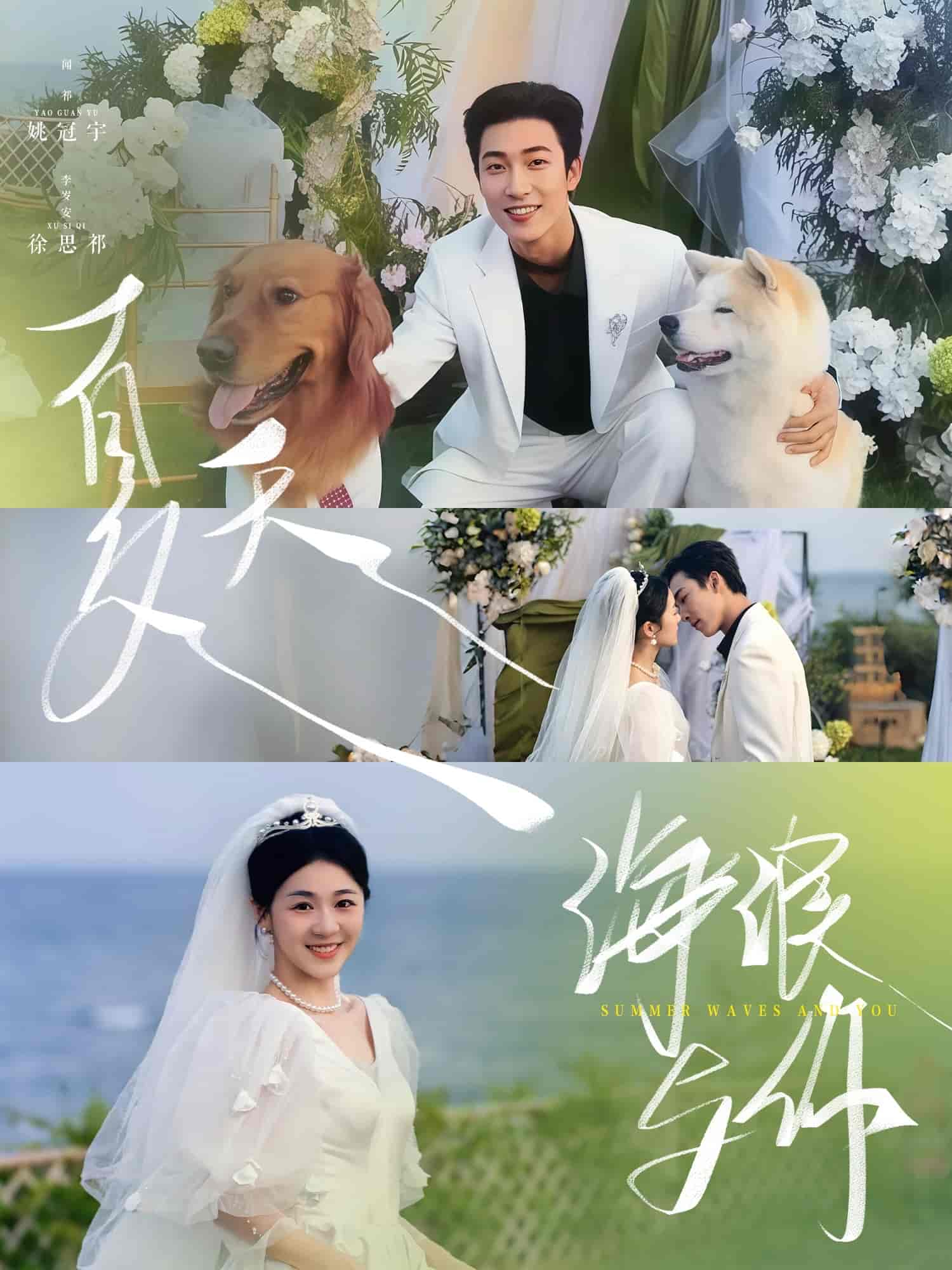 夏天，海浪與你