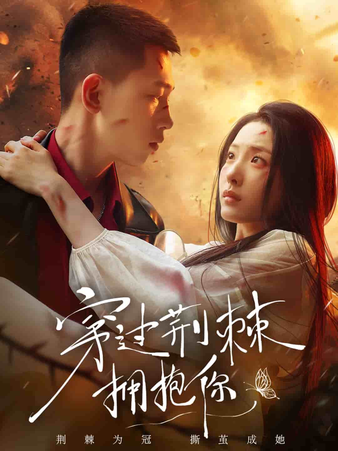 穿過荊棘擁抱你