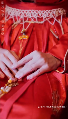 傅總的天降太子妃