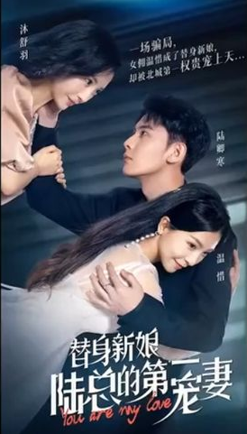 替身新娘:陸總的第一寵妻