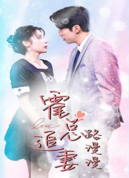 霍總追妻路漫漫