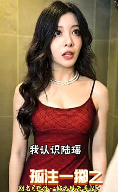 孤注一擲之風云再起