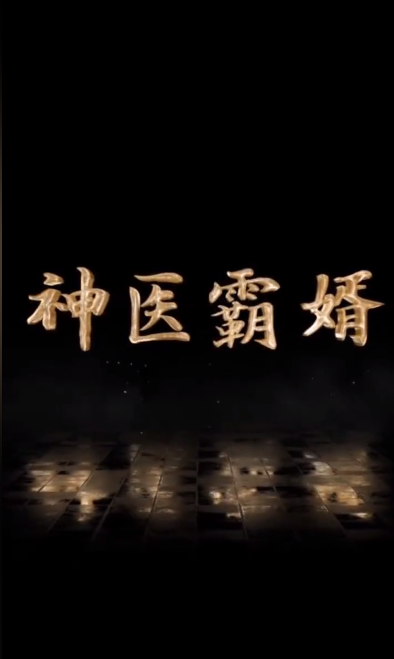 神醫霸婿