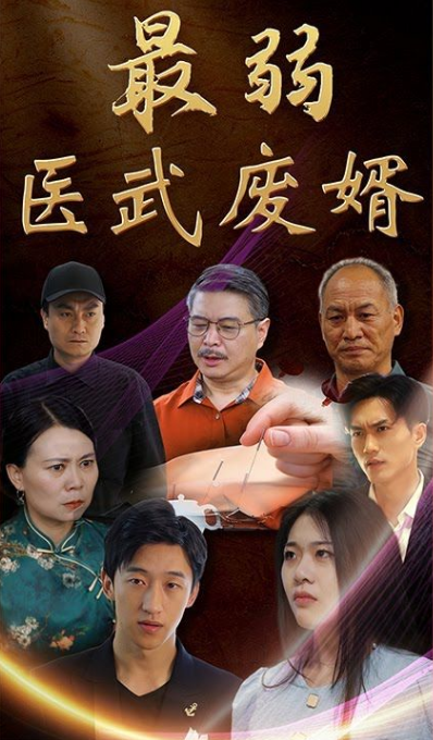 最弱醫(yī)武廢婿