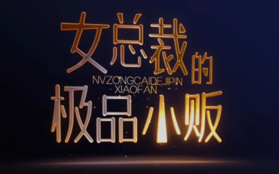 女總裁的極品小販