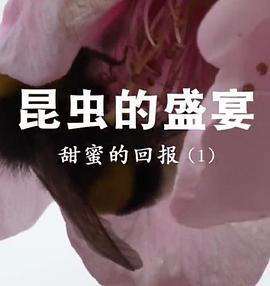 昆蟲(chóng)的盛宴粵語(yǔ)
