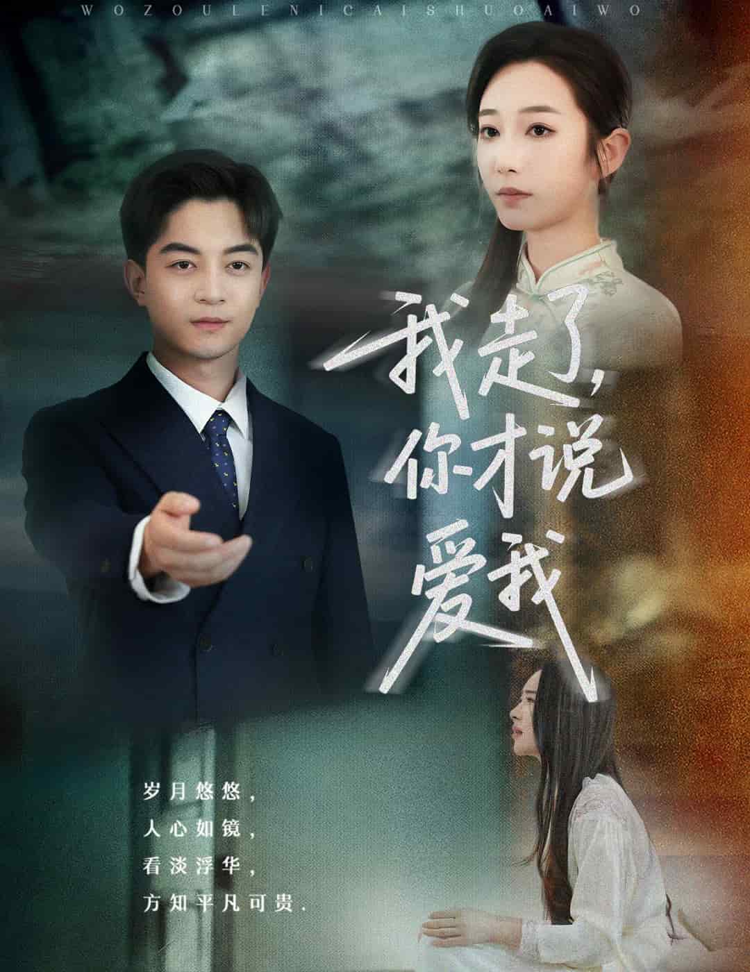 我走了你才說愛我