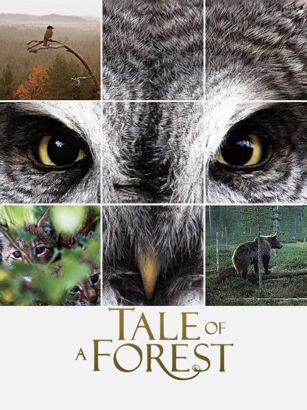 超級胬肉系統(tǒng)最新章節(jié)更新