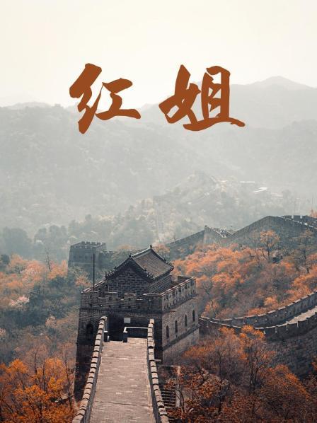 精品人妻無碼一區二區三區竹菊