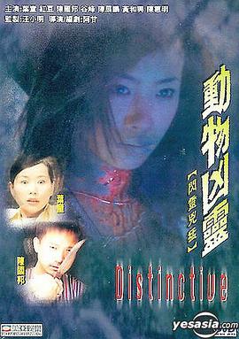 回民婦女B和漢民A區別