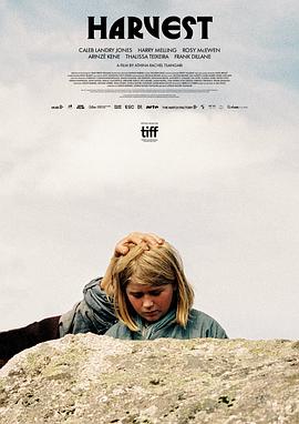 中文字幕免費高清電視劇網站