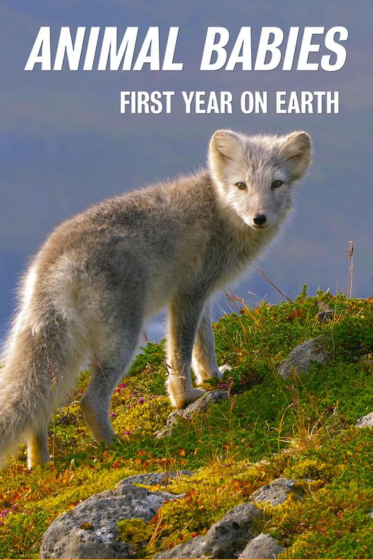 萌寶出生第一年