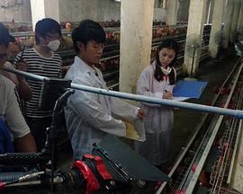 電影《魔女3》免費觀看