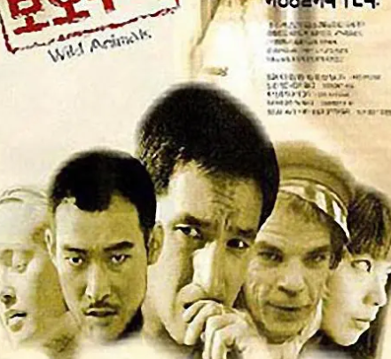 韓劇《鄰家女孩》