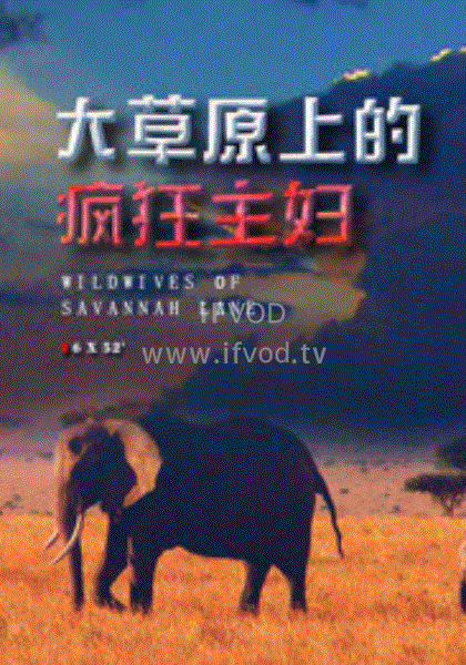 大草原上的瘋狂主婦