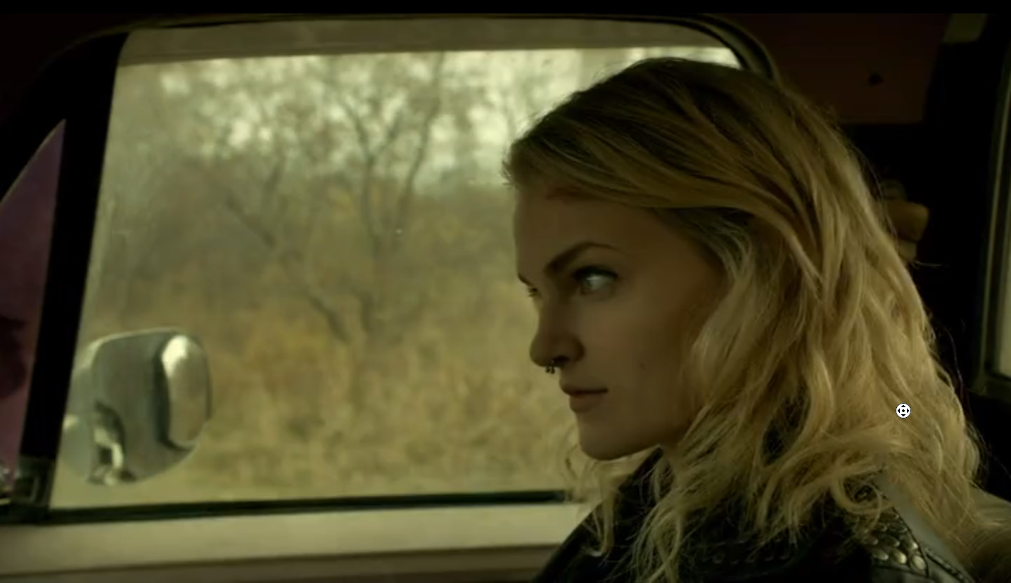 鐵杉樹叢第二季