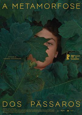 歐美精品免費專區(qū)在線觀看