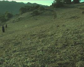 韓劇《兄妹契約》