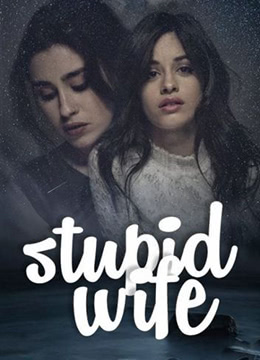 我的老婆失憶了