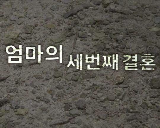 媽媽的第三次結婚