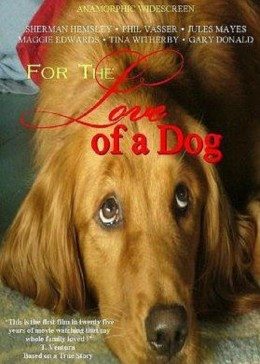 吸血鬼醫生MIGNON動漫免費觀看12集