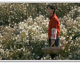 我的翻譯官全集免費觀看高清