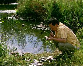 《妻子送老板雨傘》的電影