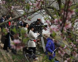 歐美人對Xbox與PS的偏好分析