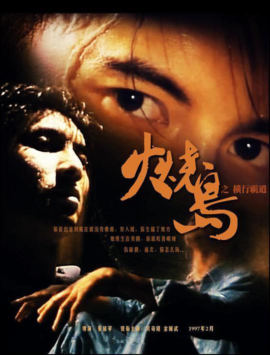 嫂子的職業(yè)hd