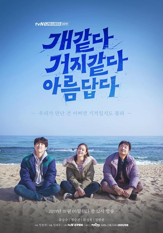 像狗像乞丐一樣美麗