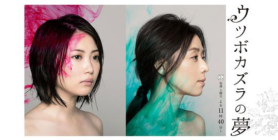 豬籠草之夢(mèng)